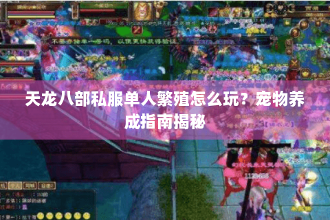 天龙八部私服单人繁殖怎么玩？宠物养成指南揭秘