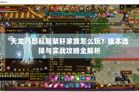 天龙八部私服紫轩家族怎么玩？版本选择与实战攻略全解析