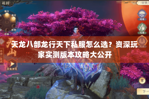 天龙八部龙行天下私服怎么选？资深玩家实测版本攻略大公开