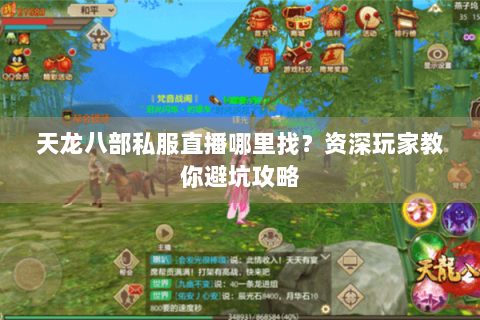 天龙八部私服直播哪里找？资深玩家教你避坑攻略