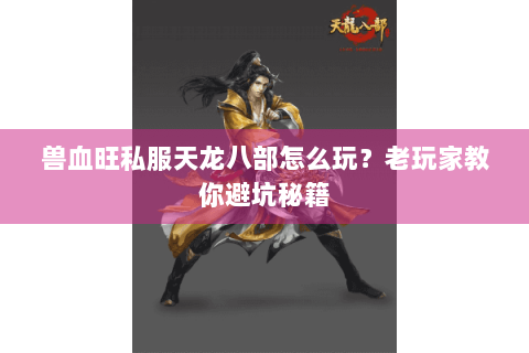 兽血旺私服天龙八部怎么玩？老玩家教你避坑秘籍