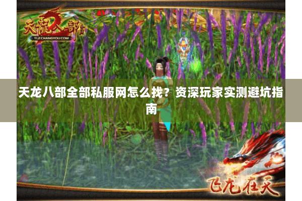 天龙八部全部私服网怎么找？资深玩家实测避坑指南