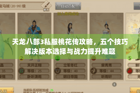 天龙八部3私服桃花传攻略，五个技巧解决版本选择与战力提升难题