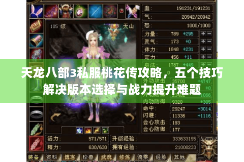 天龙八部3私服桃花传攻略，五个技巧解决版本选择与战力提升难题