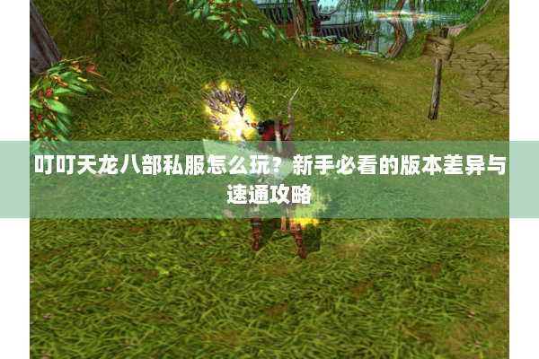 叮叮天龙八部私服怎么玩？新手必看的版本差异与速通攻略