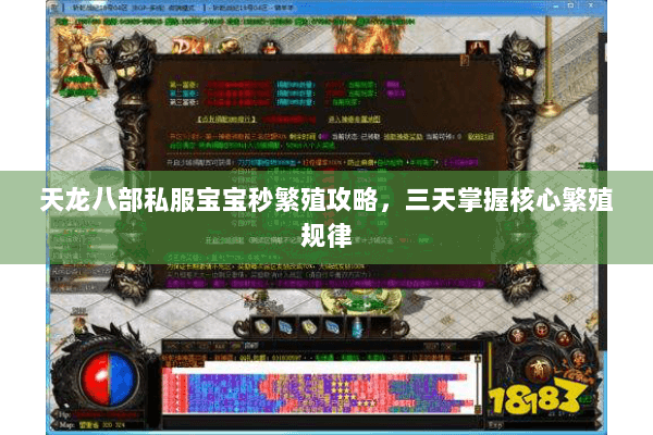 天龙八部私服宝宝秒繁殖攻略，三天掌握核心繁殖规律