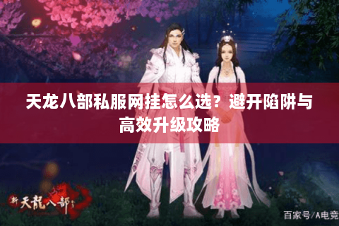 天龙八部私服网挂怎么选？避开陷阱与高效升级攻略