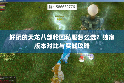 好玩的天龙八部轮回私服怎么选？独家版本对比与实战攻略