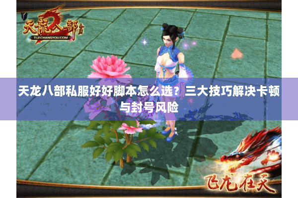 天龙八部私服好好脚本怎么选？三大技巧解决卡顿与封号风险