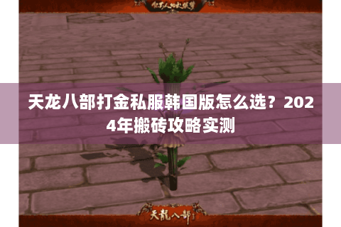天龙八部打金私服韩国版怎么选？2024年搬砖攻略实测