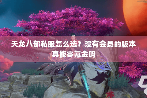 天龙八部私服怎么选？没有会员的版本真能零氪金吗