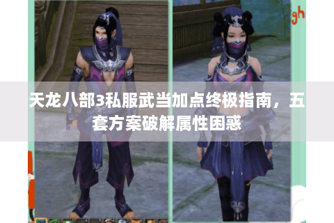 天龙八部3私服武当加点终极指南，五套方案破解属性困惑