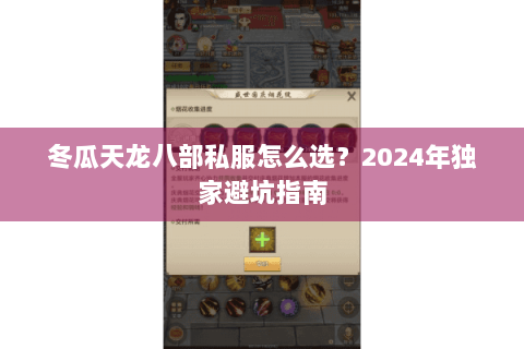 冬瓜天龙八部私服怎么选？2024年独家避坑指南