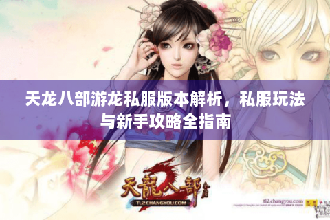 天龙八部游龙私服版本解析，私服玩法与新手攻略全指南