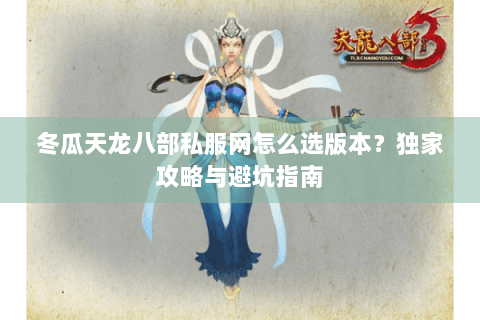 冬瓜天龙八部私服网怎么选版本？独家攻略与避坑指南