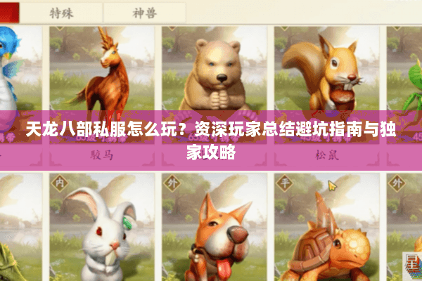 天龙八部私服怎么玩？资深玩家总结避坑指南与独家攻略