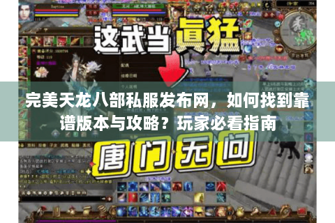 完美天龙八部私服发布网，如何找到靠谱版本与攻略？玩家必看指南