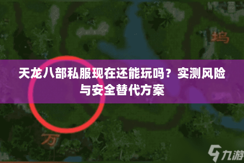 天龙八部私服现在还能玩吗？实测风险与安全替代方案