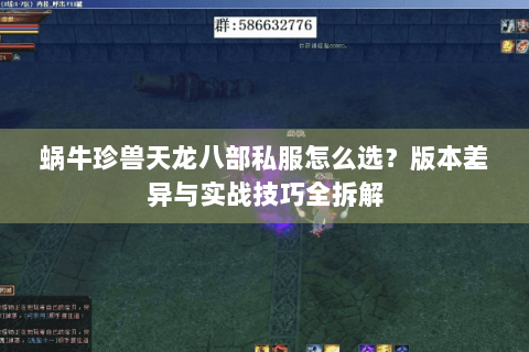 蜗牛珍兽天龙八部私服怎么选？版本差异与实战技巧全拆解