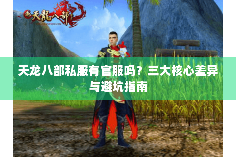 天龙八部私服有官服吗？三大核心差异与避坑指南