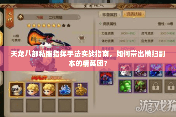 天龙八部私服指挥手法实战指南，如何带出横扫副本的精英团？