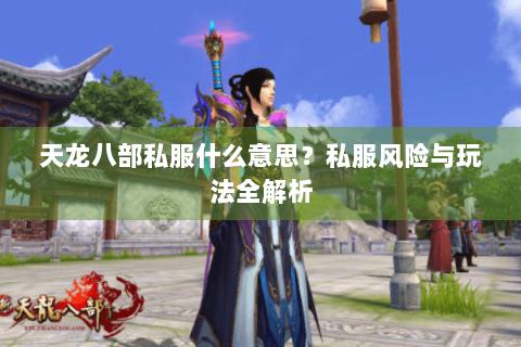 天龙八部私服什么意思？私服风险与玩法全解析
