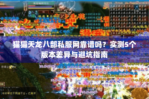猫猫天龙八部私服网靠谱吗？实测5个版本差异与避坑指南