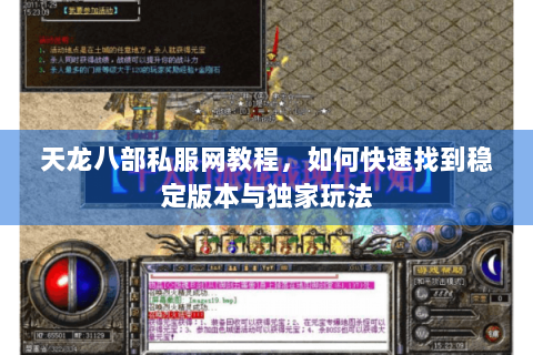 天龙八部私服网教程，如何快速找到稳定版本与独家玩法