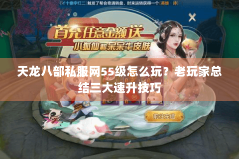 天龙八部私服网55级怎么玩？老玩家总结三大速升技巧