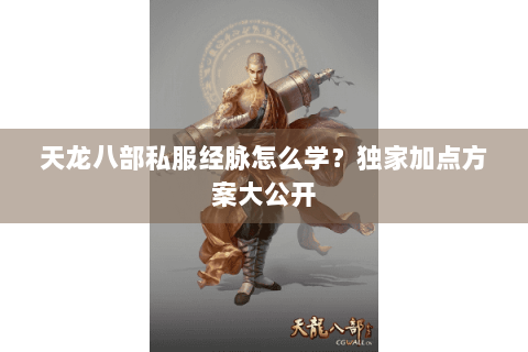 天龙八部私服经脉怎么学？独家加点方案大公开