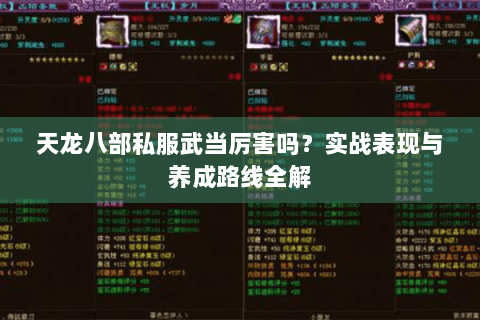 天龙八部私服武当厉害吗？实战表现与养成路线全解