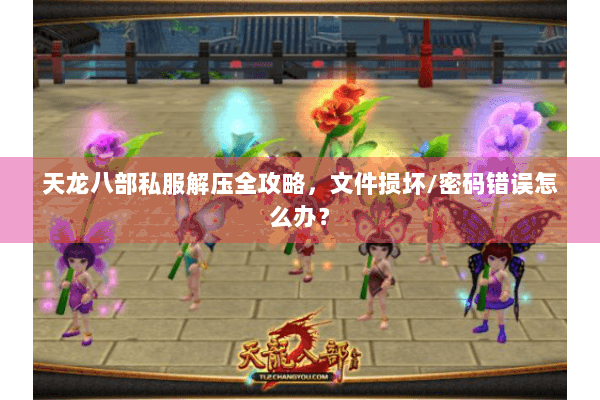 天龙八部私服解压全攻略，文件损坏/密码错误怎么办？