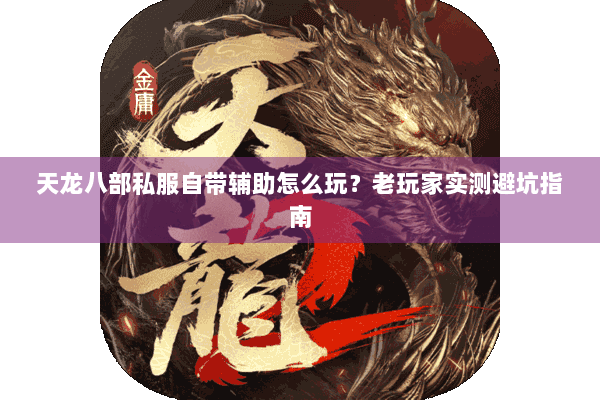 天龙八部私服自带辅助怎么玩？老玩家实测避坑指南