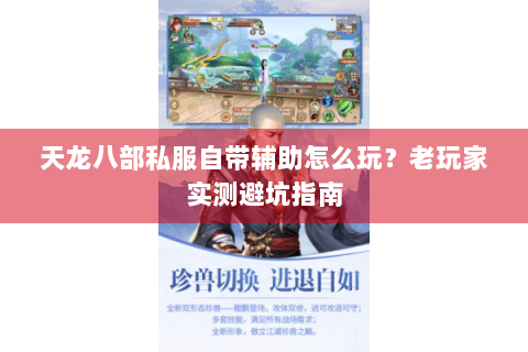 天龙八部私服自带辅助怎么玩？老玩家实测避坑指南