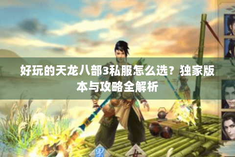好玩的天龙八部3私服怎么选？独家版本与攻略全解析