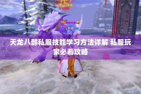 天龙八部私服技能学习方法详解 私服玩家必看攻略