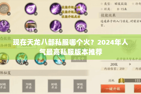 现在天龙八部私服哪个火？2024年人气最高私服版本推荐