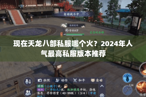现在天龙八部私服哪个火？2024年人气最高私服版本推荐