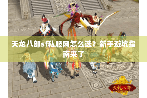 天龙八部sf私服网怎么选？新手避坑指南来了