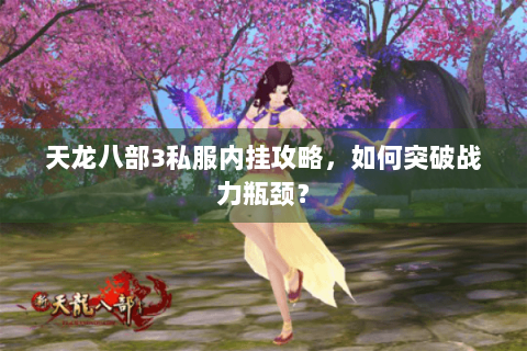 天龙八部3私服内挂攻略，如何突破战力瓶颈？