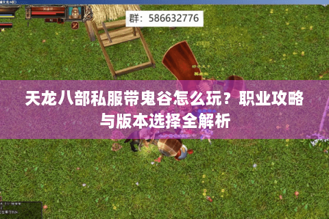 天龙八部私服带鬼谷怎么玩？职业攻略与版本选择全解析