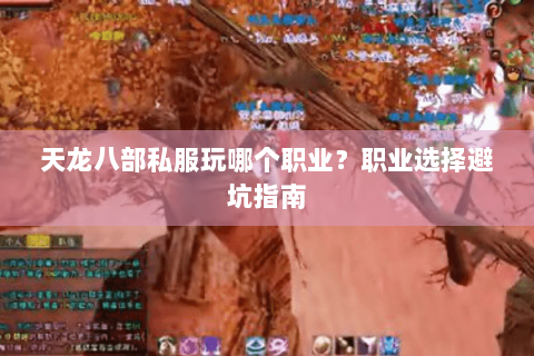 天龙八部私服玩哪个职业？职业选择避坑指南