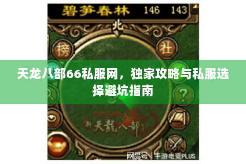 天龙八部66私服网，独家攻略与私服选择避坑指南