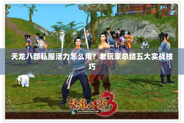 天龙八部私服活力怎么用？老玩家总结五大实战技巧