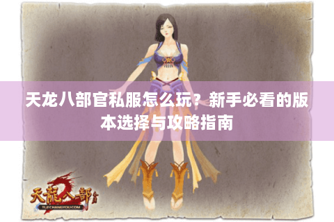 天龙八部官私服怎么玩？新手必看的版本选择与攻略指南