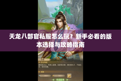 天龙八部官私服怎么玩？新手必看的版本选择与攻略指南