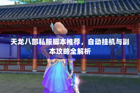 天龙八部私服脚本推荐，自动挂机与副本攻略全解析