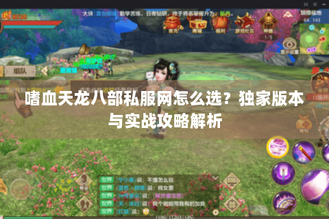 嗜血天龙八部私服网怎么选？独家版本与实战攻略解析