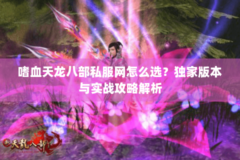 嗜血天龙八部私服网怎么选？独家版本与实战攻略解析