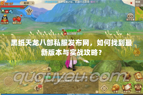 黑纸天龙八部私服发布网，如何找到最新版本与实战攻略？
